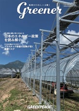 newsletter-sample