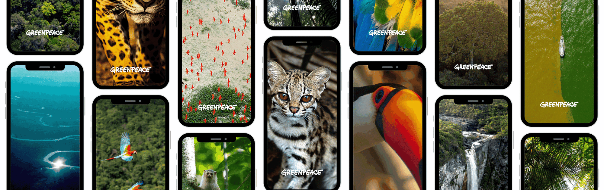 mobile_wallpaper_Background_Amazon